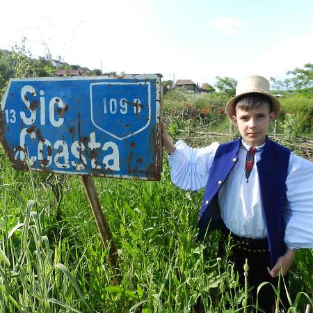 Csipkeszeg Bed & Breakfast Sic / Szek Romania Eksteriør billede