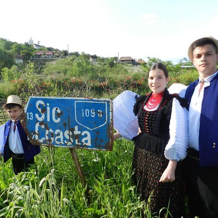 Csipkeszeg Bed & Breakfast Sic / Szek Romania Eksteriør billede