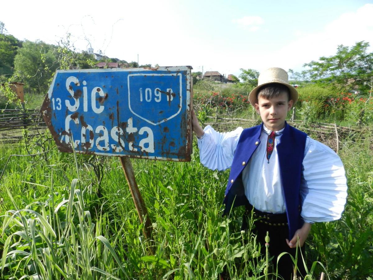 Csipkeszeg Bed & Breakfast Sic / Szek Romania Eksteriør billede