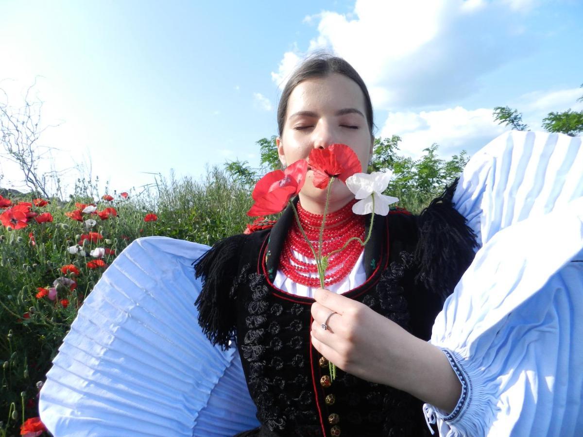 Csipkeszeg Bed & Breakfast Sic / Szek Romania Eksteriør billede