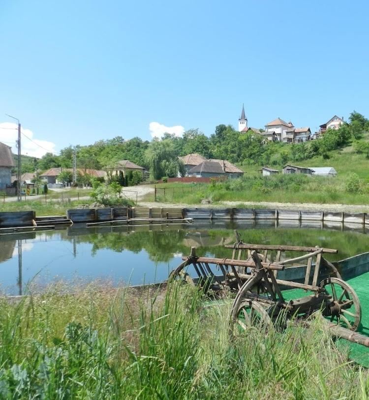 Csipkeszeg Bed & Breakfast Sic / Szek Romania Eksteriør billede