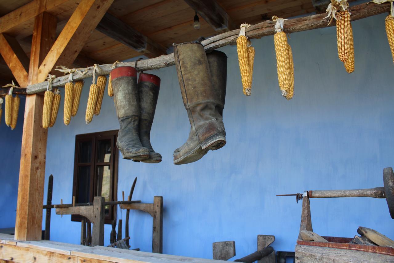 Csipkeszeg Bed & Breakfast Sic / Szek Romania Eksteriør billede