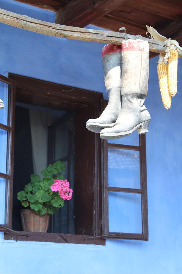 Csipkeszeg Bed & Breakfast Sic / Szek Romania Eksteriør billede