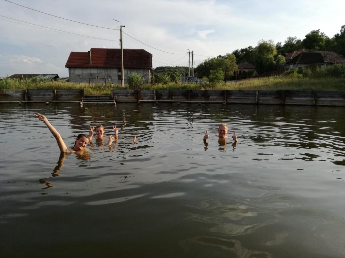 Csipkeszeg Bed & Breakfast Sic / Szek Romania Eksteriør billede